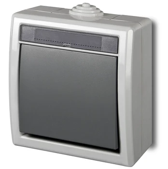 Perjungiklis Elektro-Plast Aquant1201-10,antracito/pilkos sp