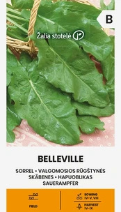 Rūgštynės belleville