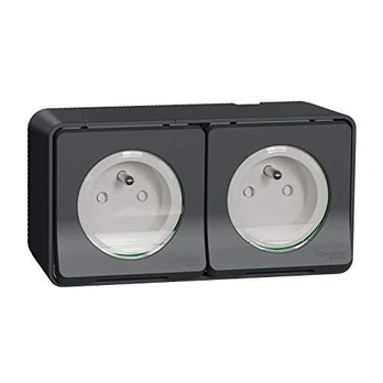 Schneider Electric Mureva Style Socket 2P+PE dvigubas antracitas MUR36028