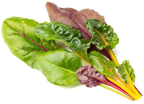Click & Grow Smart Refill Rainbow Chard 3pcs | SGR89X3