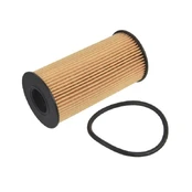 Alyvos filtras FEBI FE171346 kaina
