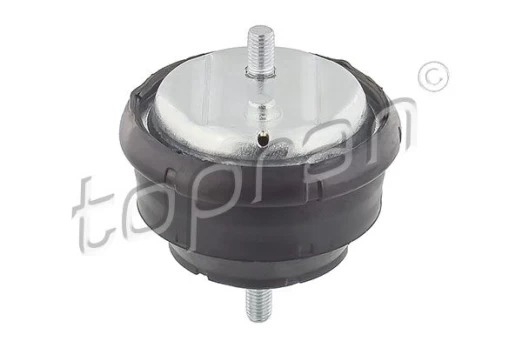 Variklio montavimas TOPRAN 500 272