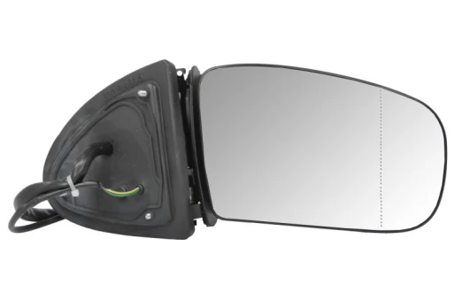 BLIC 5402-02-2002878P Wing mirror