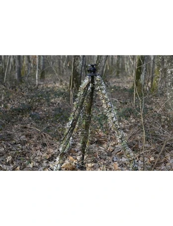 Tragopan Maskuotė trikojui