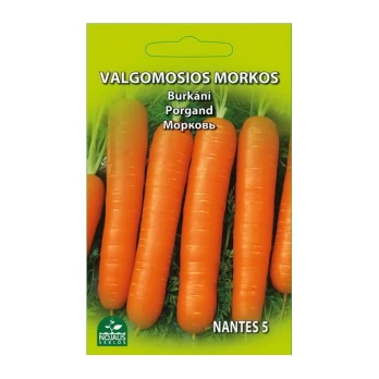 VALGOMOSIOS MORKOS NANTES 5