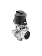 ERG vožtuvas BorgWarner (Wahler) 710753D