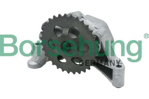 Alyvos siurblys Borsehung B12689