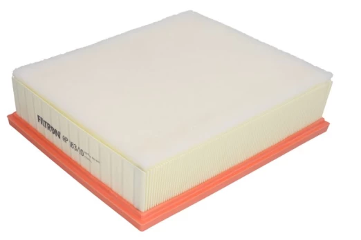 Oro filtras FILTRON AP183/10