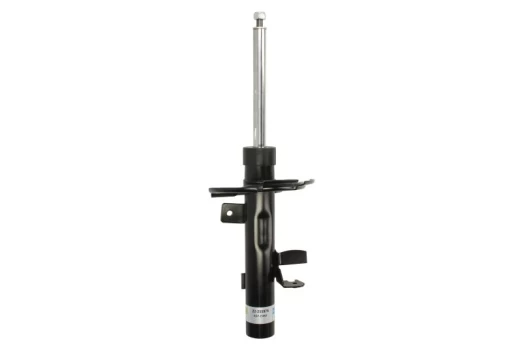 BILSTEIN 22-255976 Shock absorber