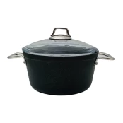 Puodas PRO-PLUS BONERA, 22 cm kaina
