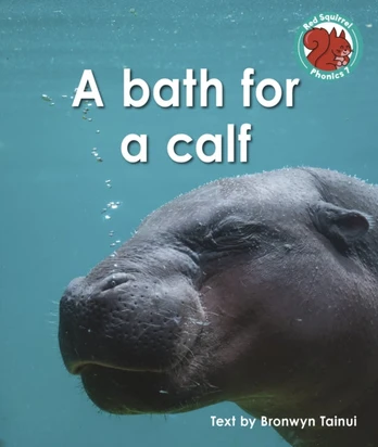bath for a calf