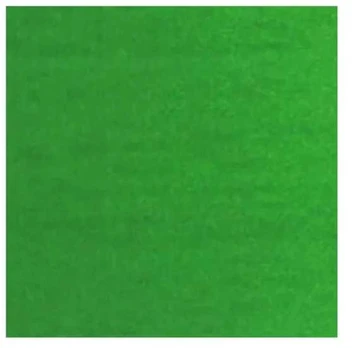 Van Gogh Oil Colour Tube Permanent Žalias Medium 614