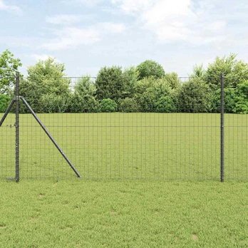 Euro tvora pilka 1,2x25 m plienas