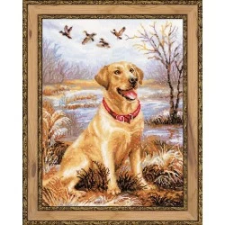 RIOLIS - Create It Yourself - Siuvinėjimo rinkinys „Labradoras“ 1399 (30x40 cm)