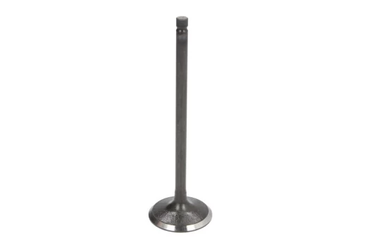 FRECCIA 6341/SNT Inlet valve