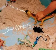 CD Guillemots - From The Cliffs