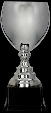 Detal Sidabrinis metalinis puodelis