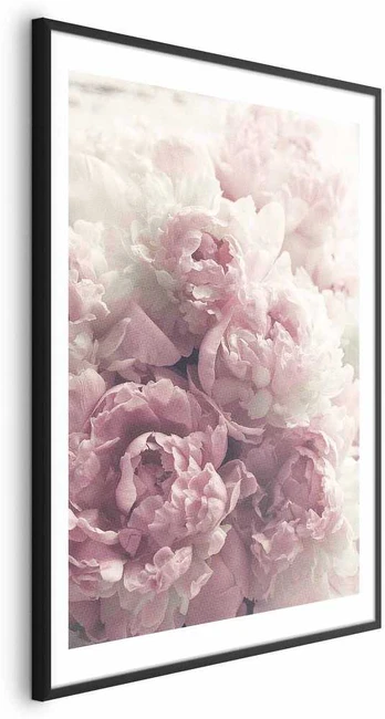 Artgeist Plakatas - Delicate Peonies