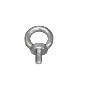 Varžtas DIN 580 Haushalt, 10 mm x 10 mm, 2 vnt.