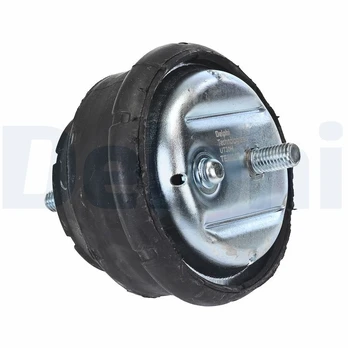 Variklio montavimas DELPHI TEM257