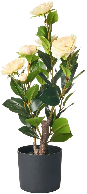 Beliani Dirbtinis augalas CAMELLIA 60 cm žalias