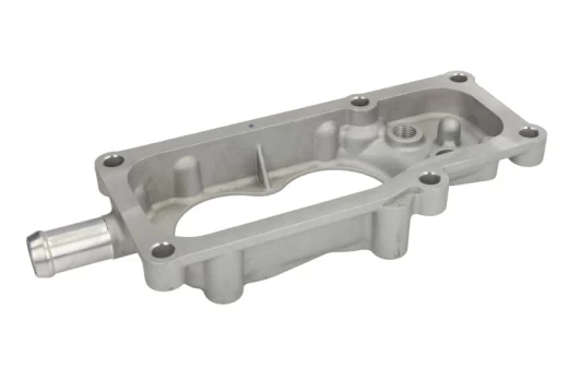 termostato korpusas DT SPARE PARTS 1.11208