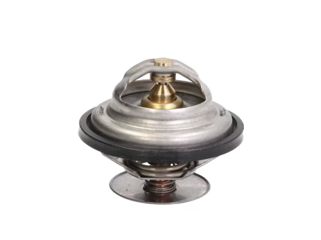 termostatas, aušinimo skystis THERMOTEC D2ZE002TT
