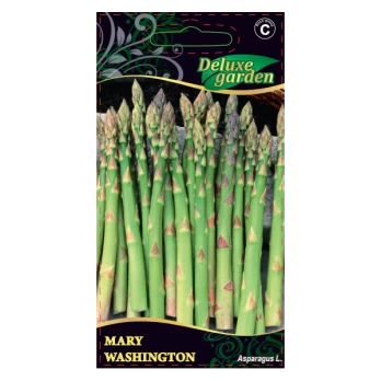 SMIDRAI MARY WASHINGTON