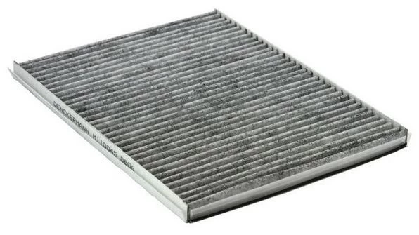 Filtras, salono oras DENCKERMANN M110045