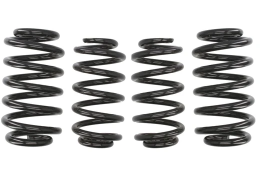 Žeminanti spyruoklė (30/30 mm) Pro-Kit (4 vnt.) E10-15-003-10-22