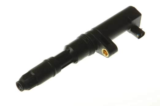 Ritė, uždegimas NGK 48002