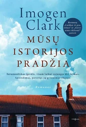 Mūsų istorijos pradžia kaina
