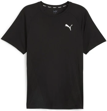 Marškinėliai vyrams Puma, juodi