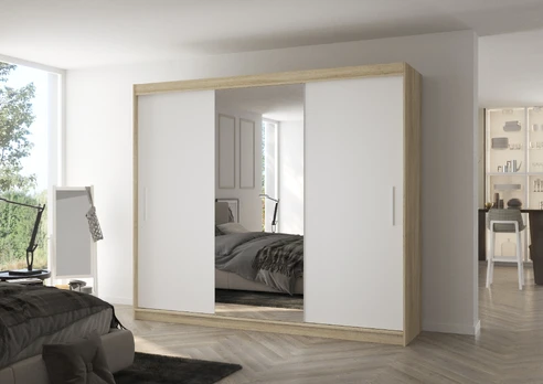 Sliding wardrobe with mirror DENIS 250