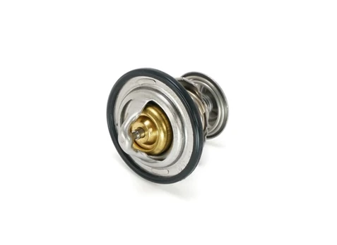 C90035017000 THERMOSTAT 76°C