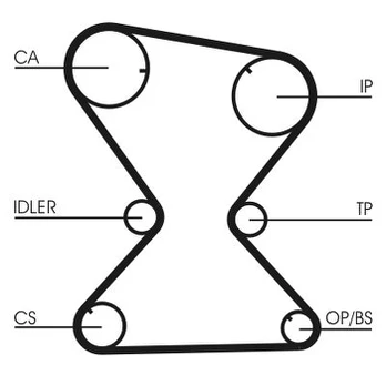 Paskirstymo diržas CONTINENTAL CTAM CT842