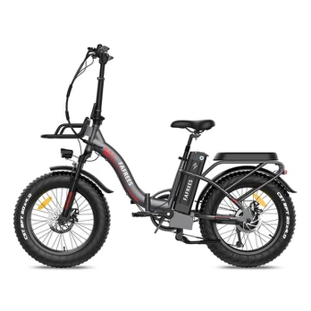 Elektrinis dviratis Fafrees F20 Max 20", pilkas