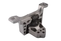 Variklio montavimas TEDGUM TED55727