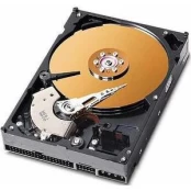 Kietasis diskas (HDD) CoreParts AHDD008, 3.5", 250 GB kaina