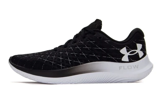 Bėgimo batai vyrams Under Armour Flow Velociti Wind 2 3024903001, juodi