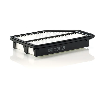 Oro filtras C26021