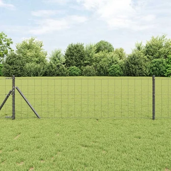 Euro tvora Pilka 0.6x25 m Plienas