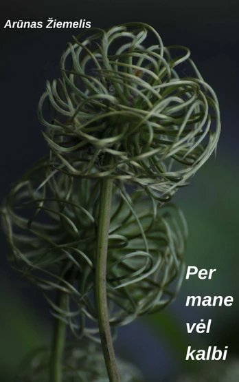 Per mane vėl kalbi