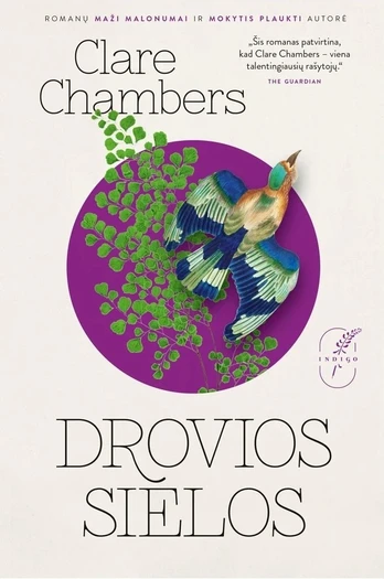 Drovios sielos