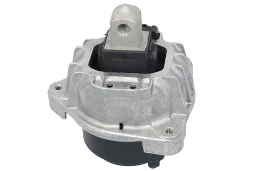 Variklio montavimas TEDGUM TED84565
