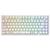 Dark Project ALU81A Terra Nova White, G3MS Moonstone Switch, RU kaina