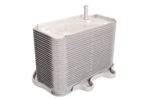 Alyvos radiatorius THERMOTEC D4N005TT