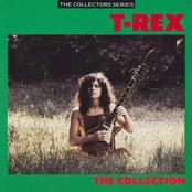 CD T-Rex* - The Collection
