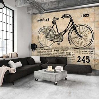 Artgeist Fototapetas - Old School Bicycle
