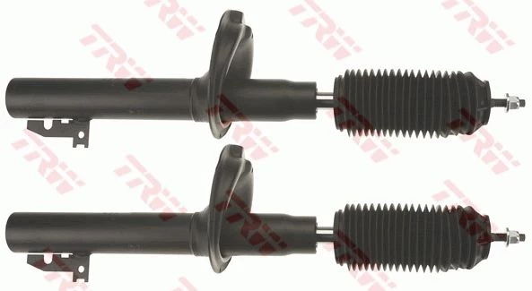 Amortizatorius TRW JGM1068T